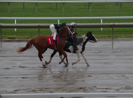 Harbour Way, with Albin Jimenez in the saddle, breaks her maiden in race 1 at Monmouth Park on July 15, 2018