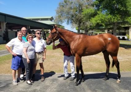 Laoban - True History colt purchased at OBS March 2020