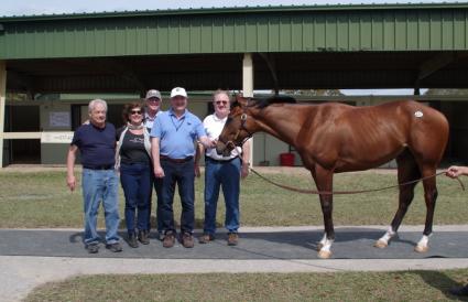 OBS March 2019 purchase - Hip 431 - Preacher (Fury Kapcori - Religious Type) colt