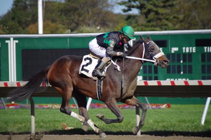 Adhwaa, with Jose Ferrer up, in race 5 at Monmouth Park on October 17, 2020