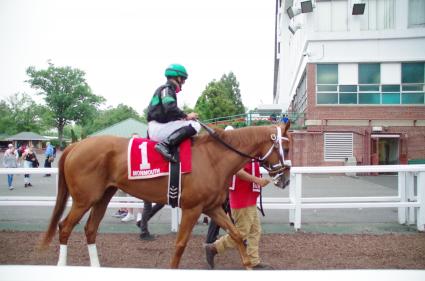 Scat Daddy filly Lisa Limon in the Open Mind Stakes at Monmouth Park