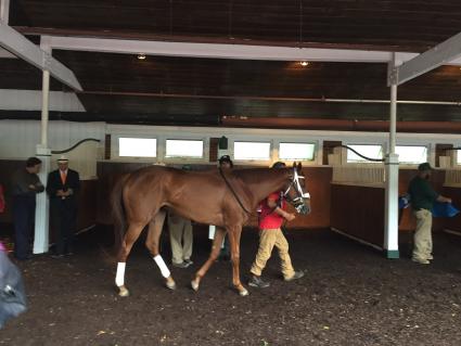 Scat Daddy filly Lisa Limon in the Open Mind Stakes at Monmouth Park