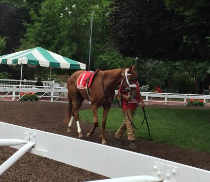 Scat Daddy filly Lisa Limon in the Open Mind Stakes at Monmouth Park