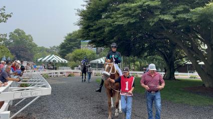 Red Head Italian, with Jose Gomez up, in the paddock for Race 4 at Monmouth Park on June 30, 2023 (Chris Driscoll)