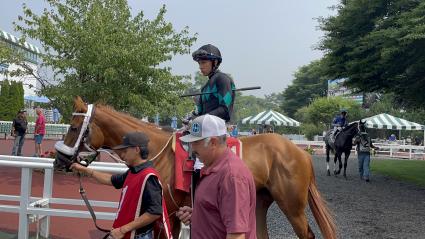 Red Head Italian, with Jose Gomez up, heading to the track  for Race 4 at Monmouth Park on June 30, 2023 (Chris Driscoll)