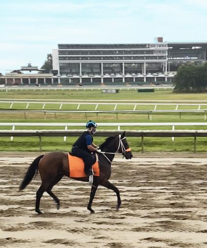 Adhwaa morning training at Monmouth Park on July 31, 2020 (Kelly Breen)