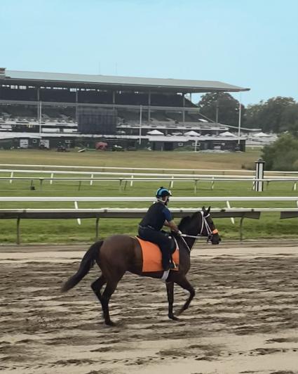 Adhwaa morning training at Monmouth Park on July 31, 2020 (Kelly Breen)