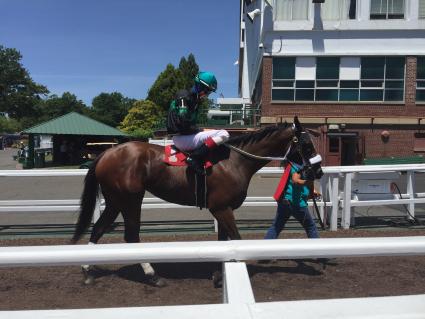 Life on the Edge in race 3 at Monmouth Park on Saturday, July 18, 2020 (Christopher Driscoll)