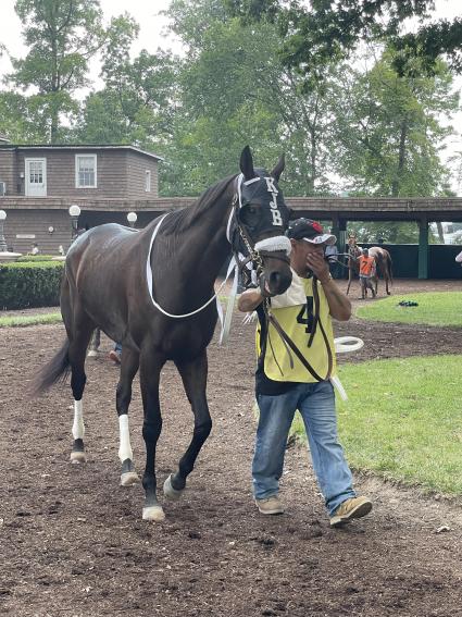 Charge Account wins race 7 at Delaware Park on Wednesday, July 28, 2021 (Michelle Perullo)