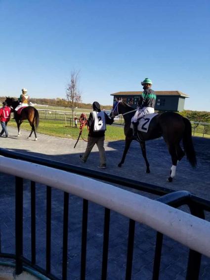 Adhwaa in race 5 at Parx on November 4, 2020 (George Katzenberger)