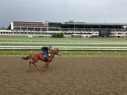 Monmouth Park, Kenwood Racing, Jersey Jules