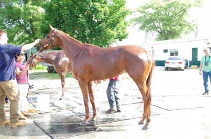 Scat Daddy filly Lisa Limon training at Monmouth Park