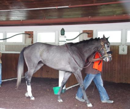 Lead Investor at Monmouth Park on May 28, 2017