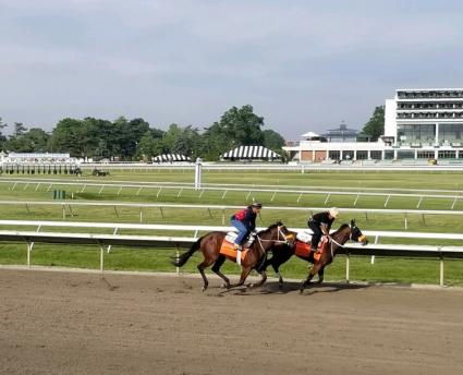 Life on the Edge (on the outside) breezing at Monmouth Park on June 8, 2019 (George Katzenberger)