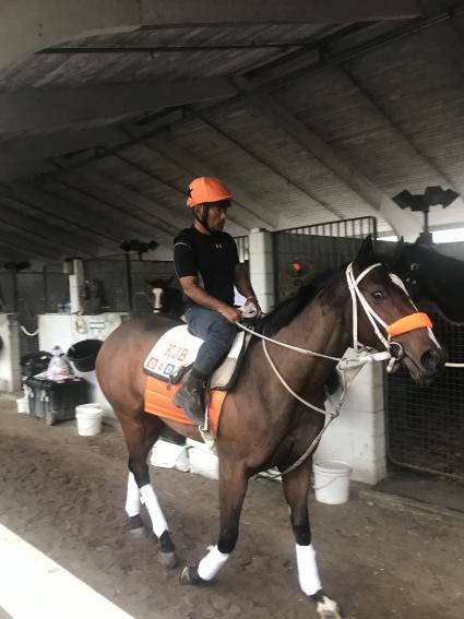 Life on the Edge at Palm Meadows on November 9, 2019 (Kelly Breen)