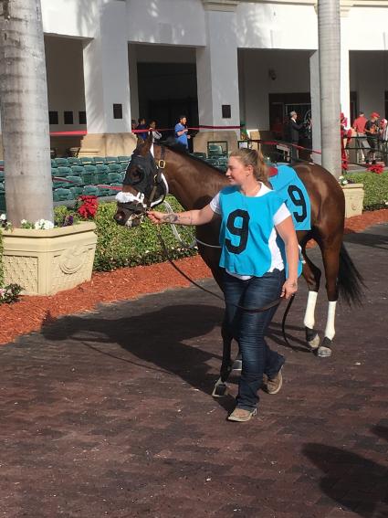 Life on the Edge in race 6 at Gulfstream Park on December 12, 2019 (Alan Ingwer)