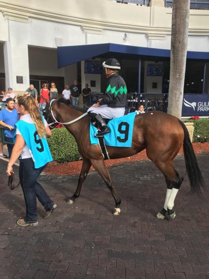 Life on the Edge, with Nik Juarez up, in race 6 at Gulfstream Park on December 12, 2019 (Alan Ingwer)