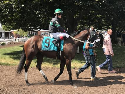 Life on the Edge in the Sorority Stakes at Monmouth Park on September 1, 2019 (Robert Bulger)