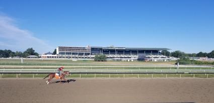 Scat Daddy filly Lisa Limon training at Monmouth Park (Jack Czajkowski)