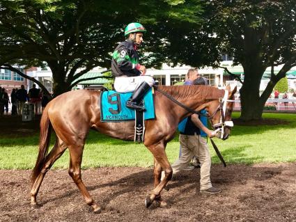 Scat Daddy filly Lisa Limon in 2018 Boiling Springs Stakes at Monmouth Park (Robert Bulgar)