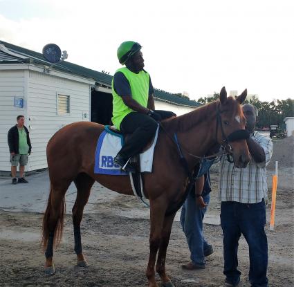 Scat Daddy filly Lisa Limon at Gulfstream Park on February 21, 2018 (Robb Levinsky)