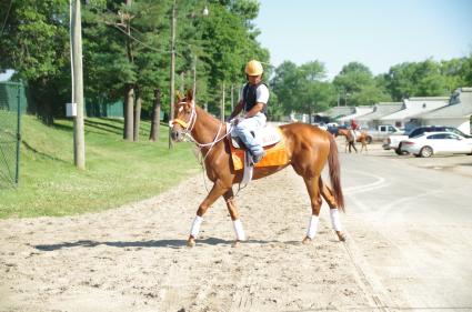 Scat Daddy filly Lisa Limon training at Monmouth Park