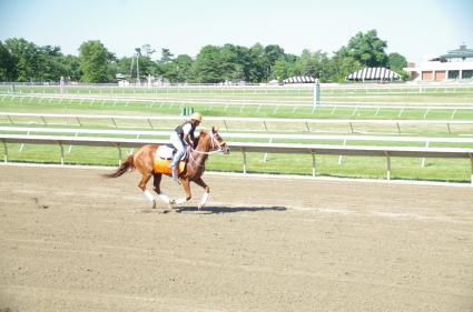 Scat Daddy filly Lisa Limon training at Monmouth Park