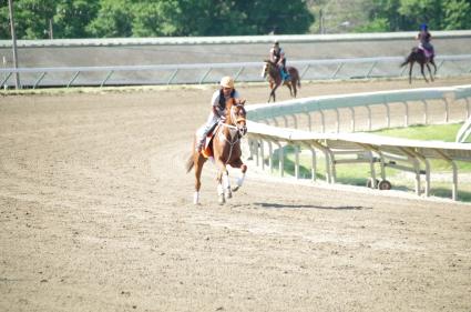 Scat Daddy filly Lisa Limon training at Monmouth Park