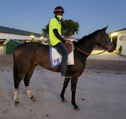 Lookinlikeaqueen outside barn at Gulfstream Park on May 4, 2020 (Ron Spatz)