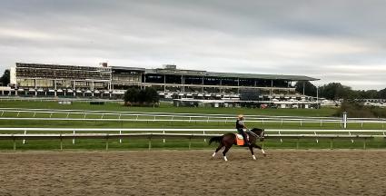 Mandel training at Monmouth Park on Friday, September 21, 2018.