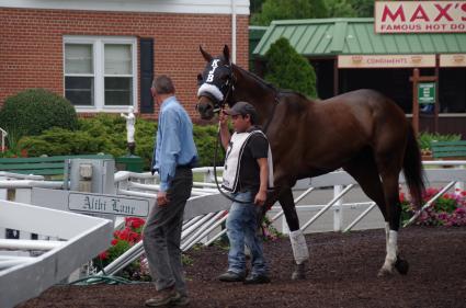 Mandel, with Jose Ferrer in the irons, wins by 14 lengths in race 8 at Monmouth Park on July 15, 2018