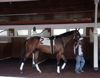 Mandel, with Jose Ferrer in the irons, wins by 14 lengths in race 8 at Monmouth Park on July 15, 2018