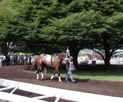 Mandel, with Jose Ferrer in the irons, wins by 14 lengths in race 8 at Monmouth Park on July 15, 2018