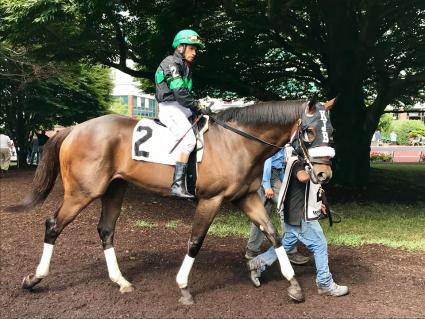 Mandel, with Jose Ferrer in the irons, wins by 14 lengths in race 8 at Monmouth Park on July 15, 2018 (Robert Bulger)