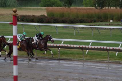 Mandel, with Jose Ferrer in the irons, wins by 14 lengths in race 8 at Monmouth Park on July 15, 2018
