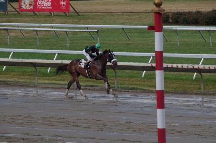 Mandel, with Jose Ferrer in the irons, wins by 14 lengths in race 8 at Monmouth Park on July 15, 2018
