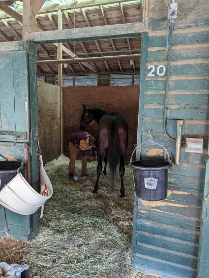 Montauk Summer at Monmouth Park on Sunday, June 4, 2023