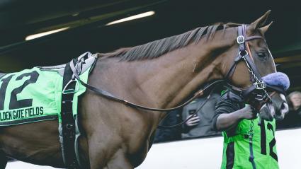 More Than Ready colt More Ice in the El Camino Real Derby at Golden Gate Fields on February 16, 2019 (Christian Murillo)