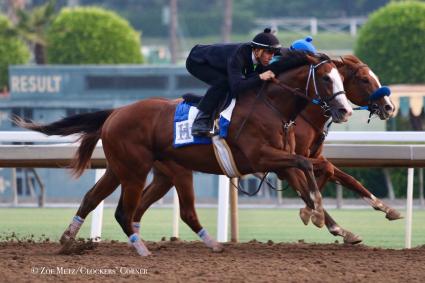 More Ice (inside) and Instagrand working out at Santa Anita on September 10, 2018