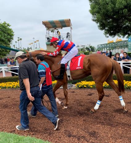 More Ice runs in the Cinema Stakes at Santa Anita Park on June 2, 2019 (Eric Homme)