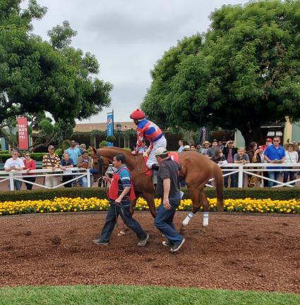 More Ice runs in the Cinema Stakes at Santa Anita Park on June 2, 2019 (Carter Biddle)