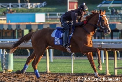 More Ice training for the Santa Anita Derby on April 5, 2019 (Ernie Belmonte)