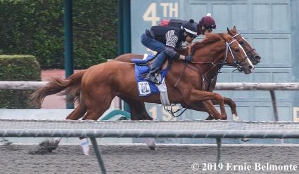 More Ice (outside) training at Santa Anita on June 19, 2019 (Ernie Belmonte)