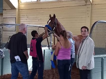 More Ice in the Zuma Beach Stakes at Santa Anita on October 8, 2018
