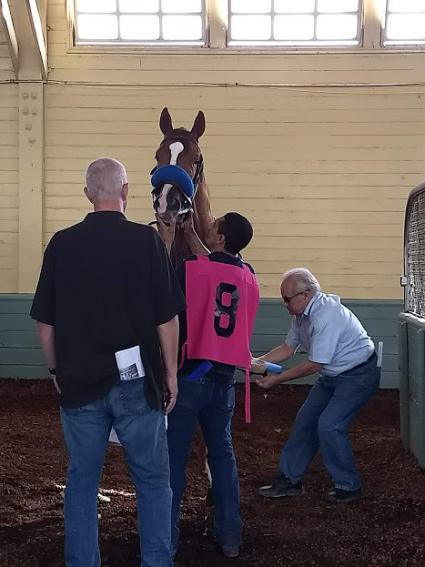 More Ice in the Zuma Beach Stakes at Santa Anita on October 8, 2018