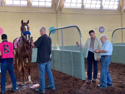 More Ice in the Zuma Beach Stakes at Santa Anita on October 8, 2018