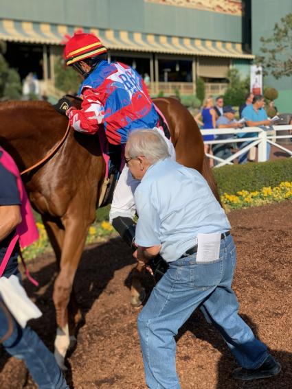 More Ice in the Zuma Beach Stakes at Santa Anita on October 8, 2018