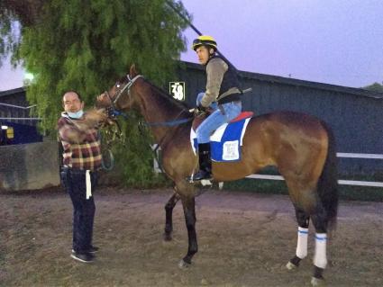 Ghostzapper colt Bullion training at Santa Anita on January 11, 2019 (Robb Levinsky)