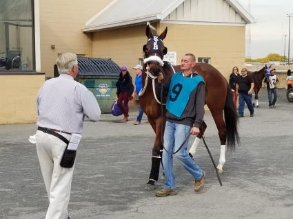 New Found Treasure in race 4 at the Meadowlands on October 25, 2019 (Jack Czajkowski)