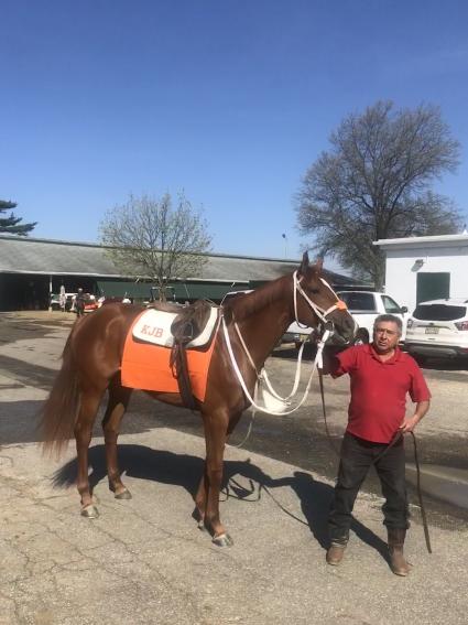 OBS April purchase, Hip 542 Flat Out filly at Monmouth Park (Kelly Breen)